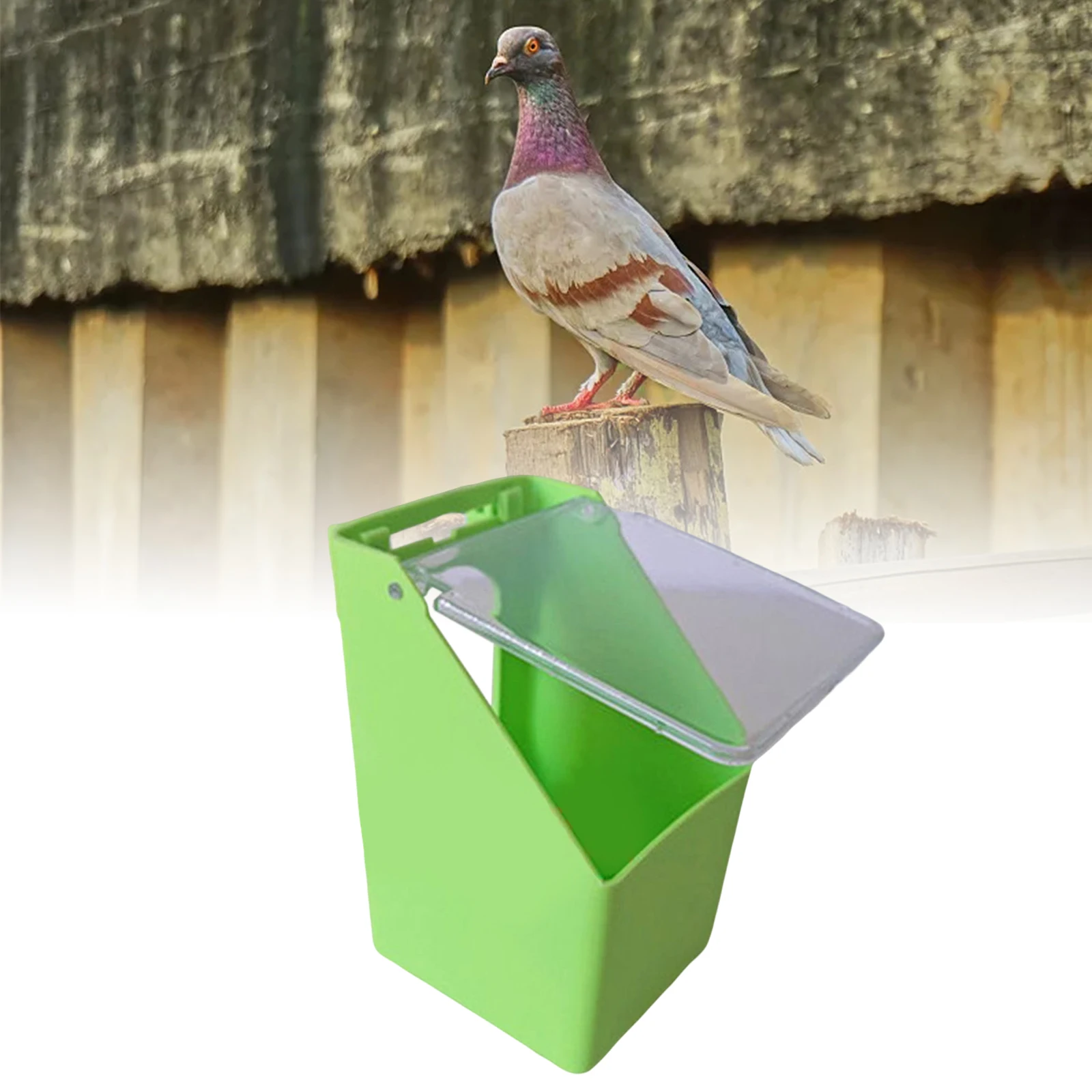 Alimentador para Pássaros com Tampa Transparente e Encaixe na Gaiola - Imagem 5
