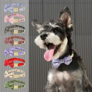 coleira de nylon para cães com laço