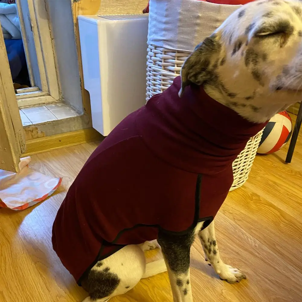 Casaco de Inverno para Cães Grandes de Poliéster Gola Alta - Imagem 3