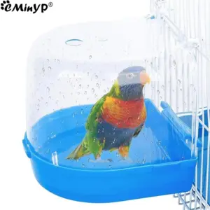 banheira para pássaros pequenos