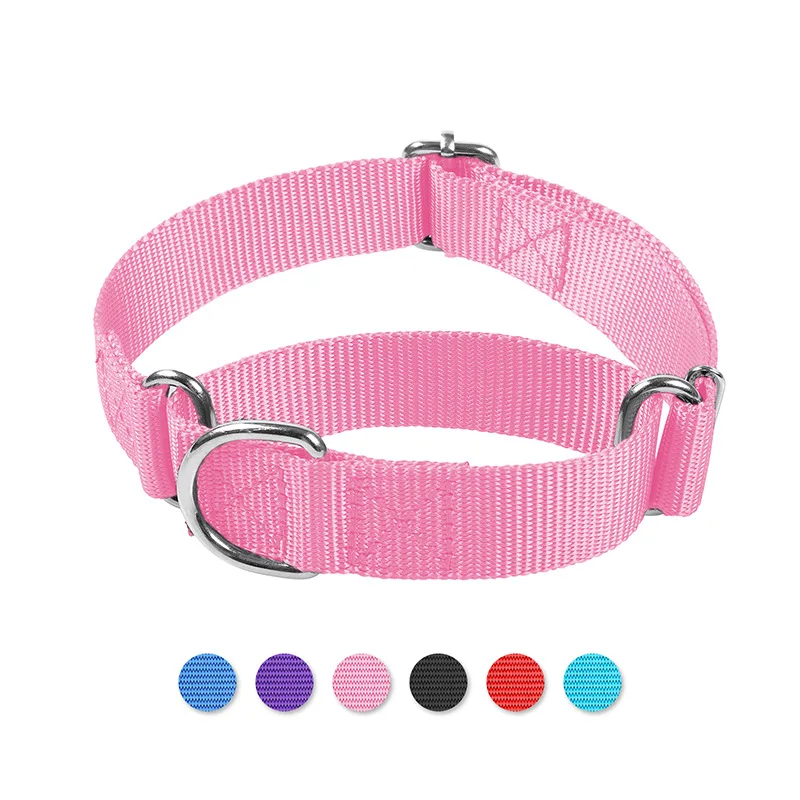 Coleira para Cães de Nylon Ajustável com Anel D de Metal - Imagem 3