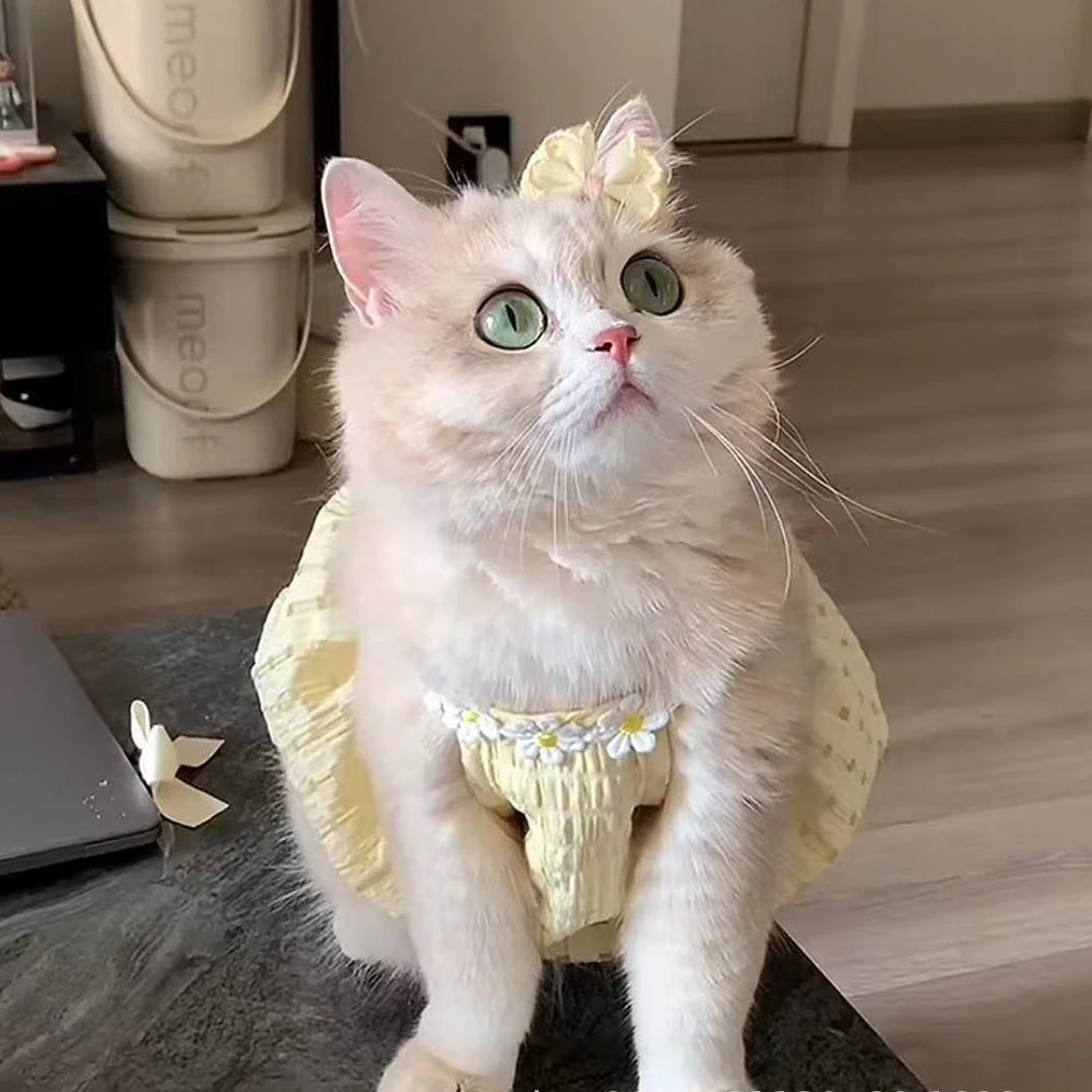 Vestido Floral para Cães e Gatos Pequenos com Colar de Flor - Image 3