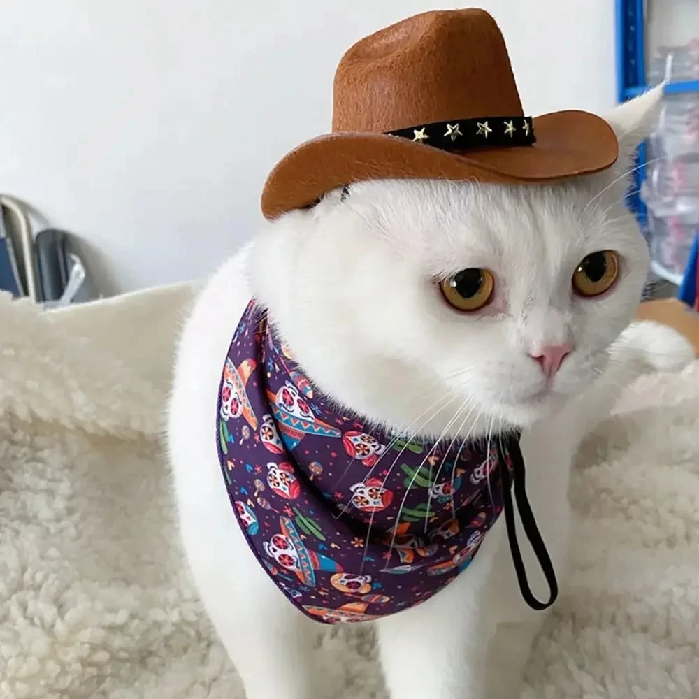 Chapéu de Cowboy para Gatos Ajustável Preto com Estrela - Imagem 4