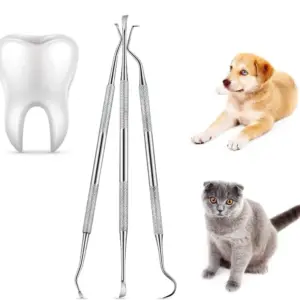 removedor de tártaro para cães