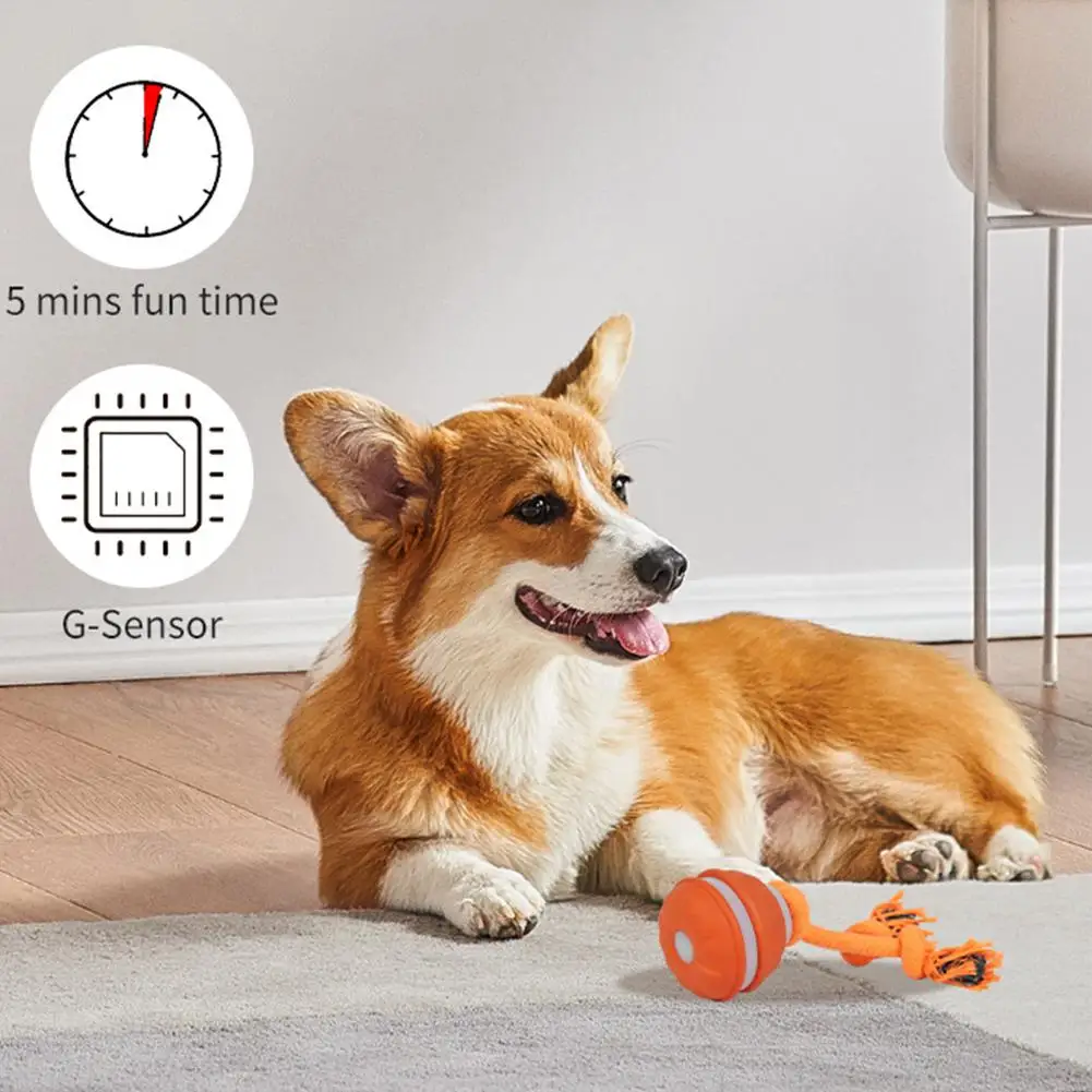 Bola Interativa para Cães Ativada por Movimento Recarregável USB - Image 6