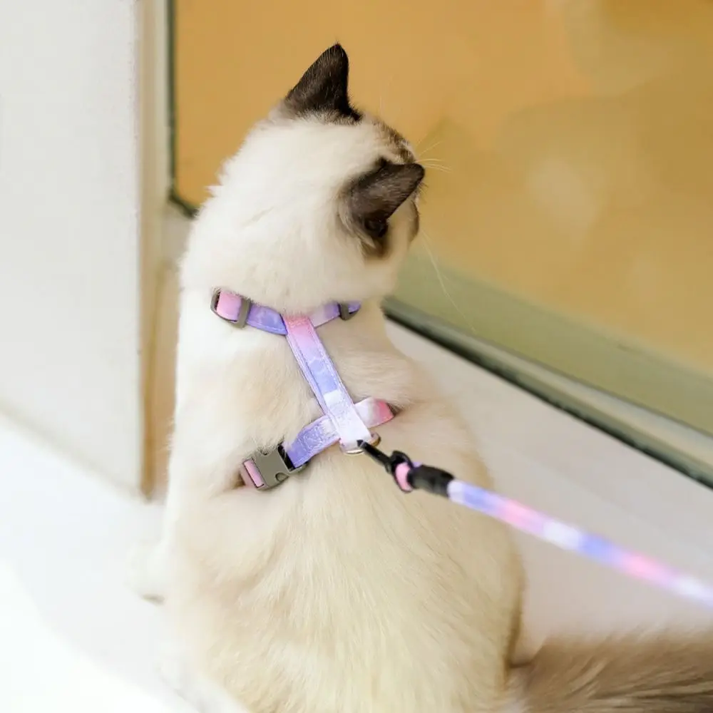 Coleira Peitoral e Guia para Gato Ajustável para Passeio - Imagem 3