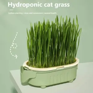 kit plantador de grama para gatos