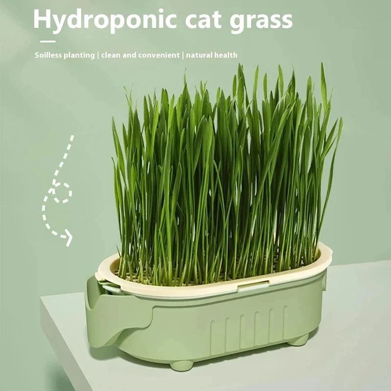 kit plantador de grama para gatos