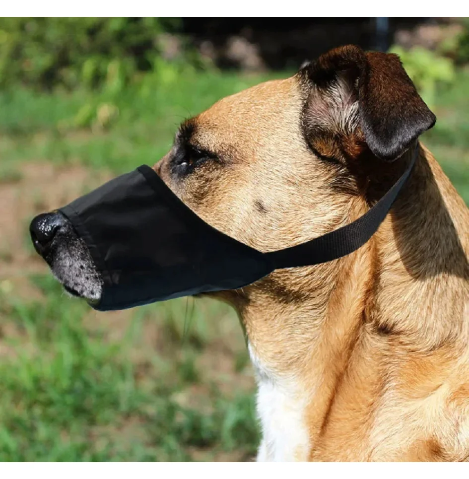 Focinheira de Nylon Macio para Cães com Fivela de Segurança - Image 2