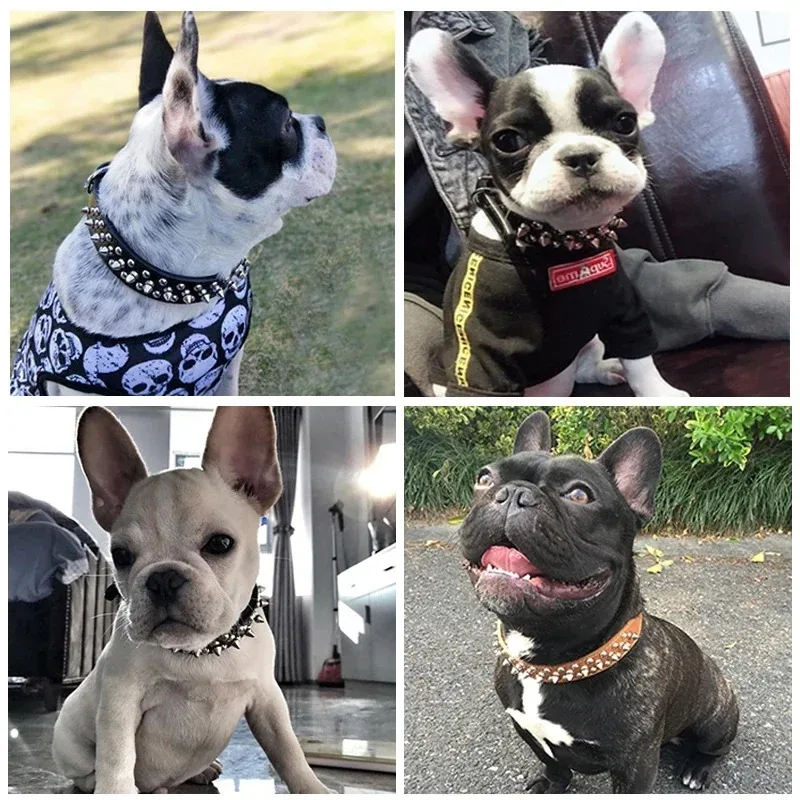 Coleira Ajustável de Couro PU para Cães Pequenos e Gatos com Rebites - Imagem 3