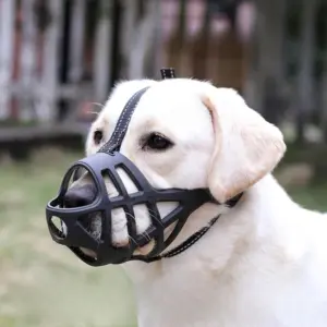 focinheira cesta para cães