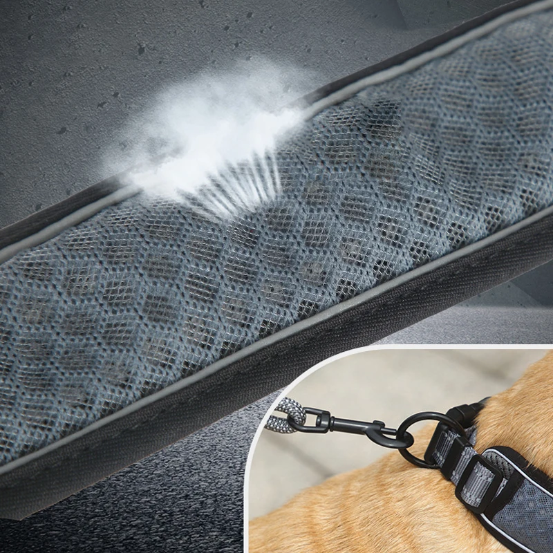 Coleira para Cães de Nylon Ajustável com Faixa Refletiva - Imagem 5