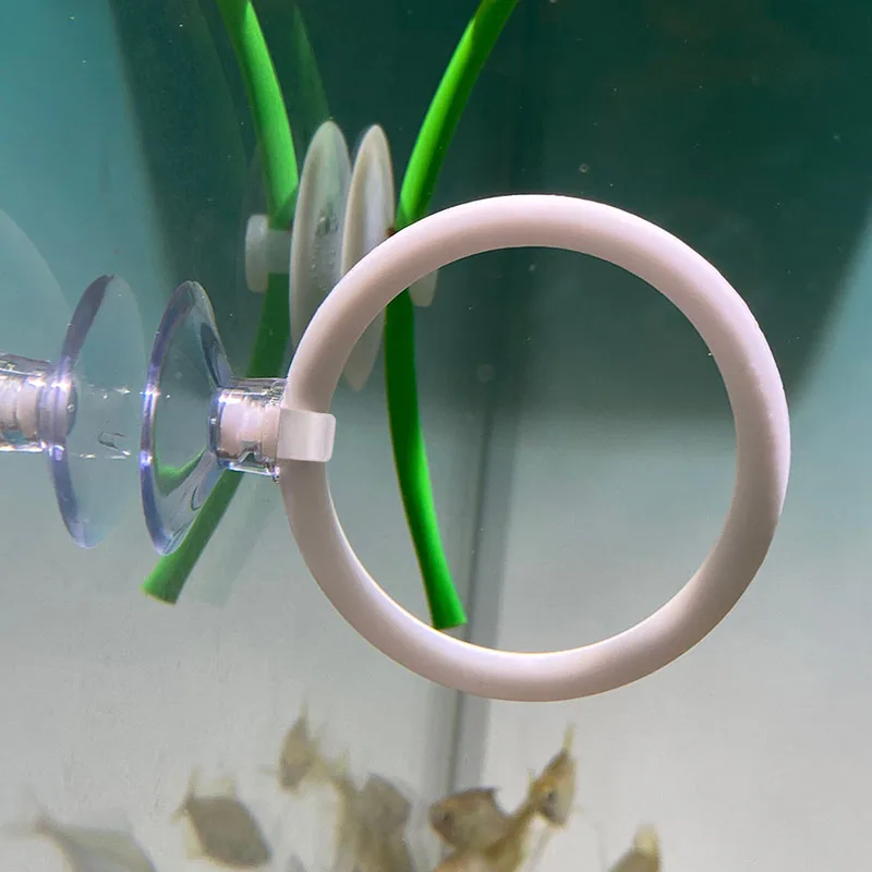 Anel de Treinamento para Peixe Betta de Aquário com Ventosas - Imagem 4