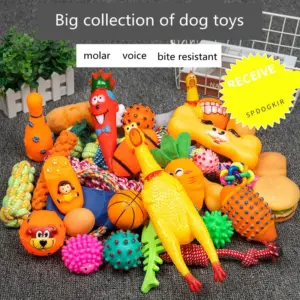 kit brinquedo para cães