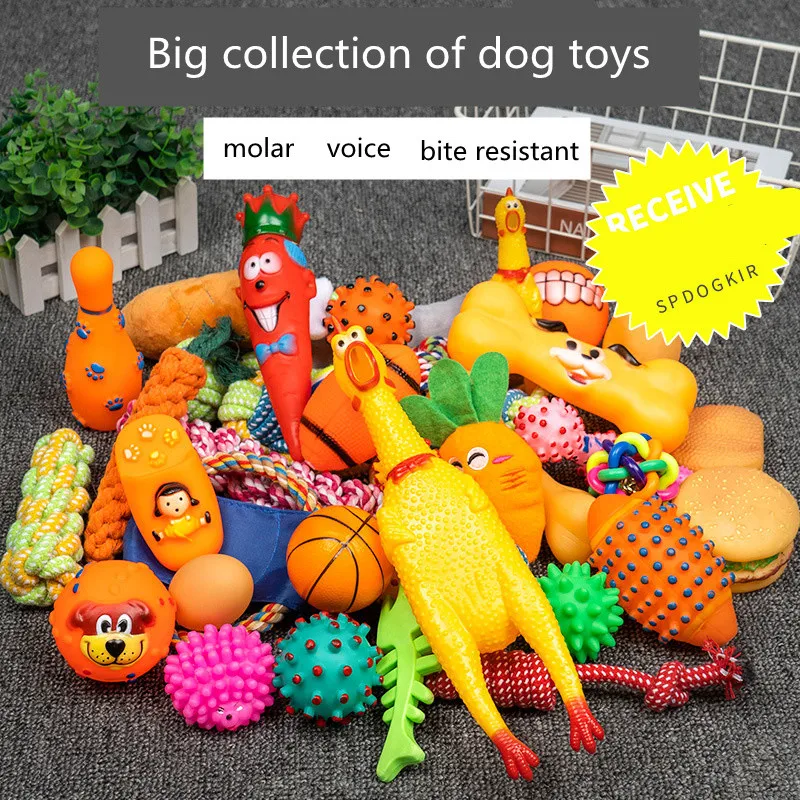 kit brinquedo para cães