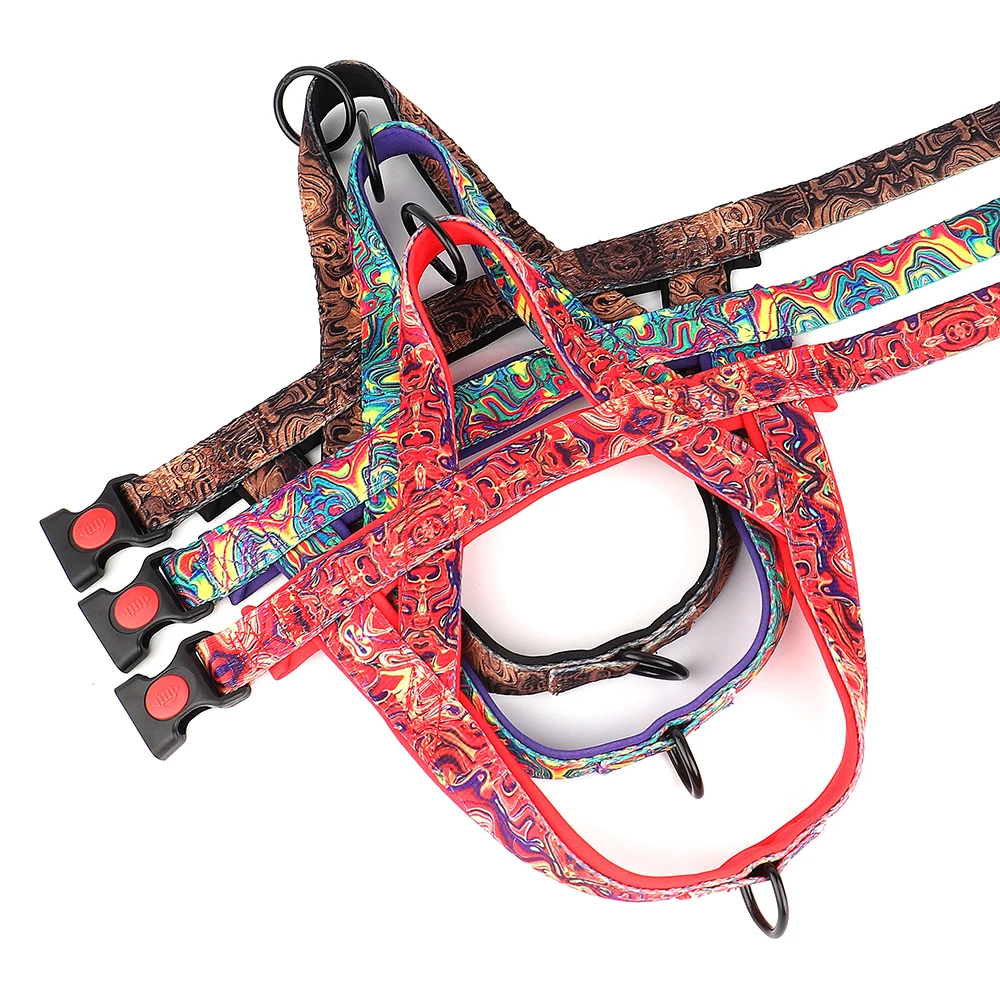 Colete Peitoral para Cães de Nylon Ajustável com Alça de Controle - Image 2