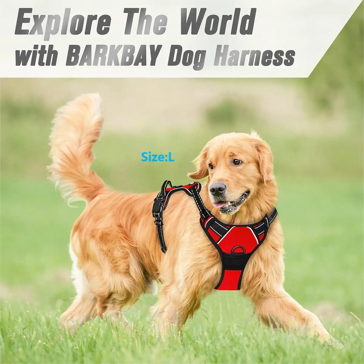 Arnês para Cães Grandes Refletivo com Clipe Frontal - Imagem 3