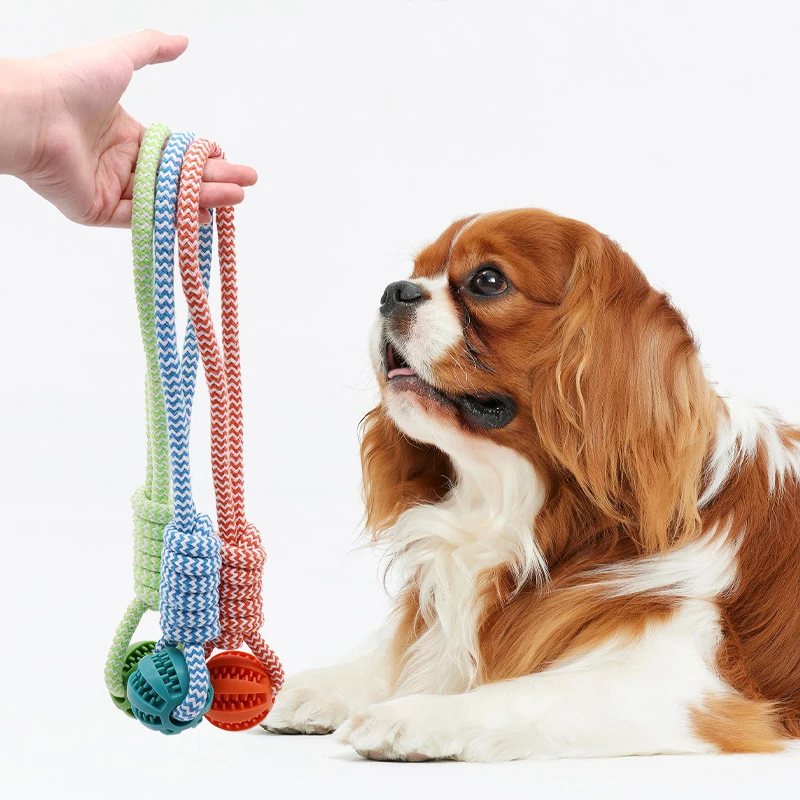 Bola de Borracha para Cães com Corda e Dispensador de Petisco - Imagem 2