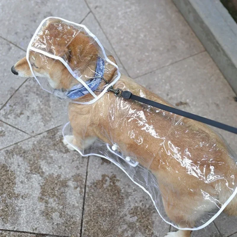 Capa de Chuva para Cães Transparente com Capuz para Passeios - Image 5