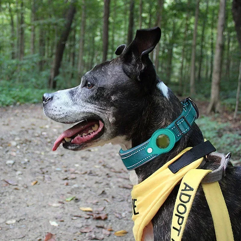Coleira para Cães Anti-Perda Refletiva Impermeável para AirTag - Imagem 2