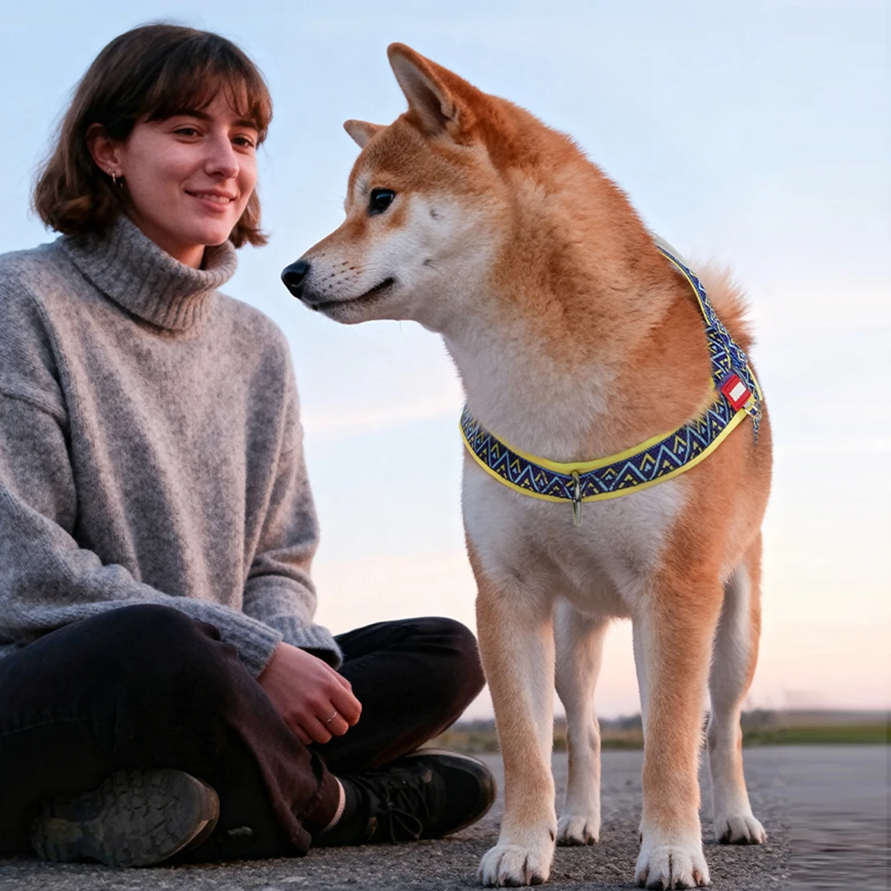 Colete Peitoral para Cães Ajustável com Alça para Passeio - Imagem 2