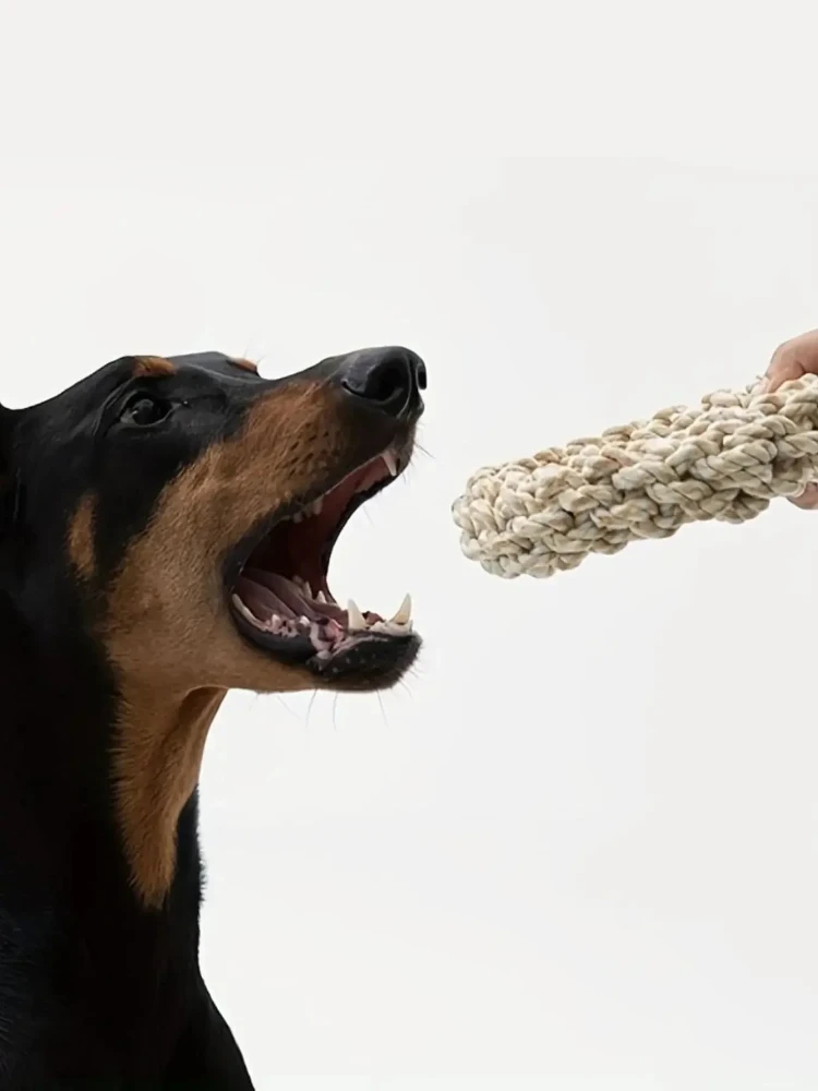 Corda para Cães de Porte Médio e Grande Resistente à Mordida - Image 2