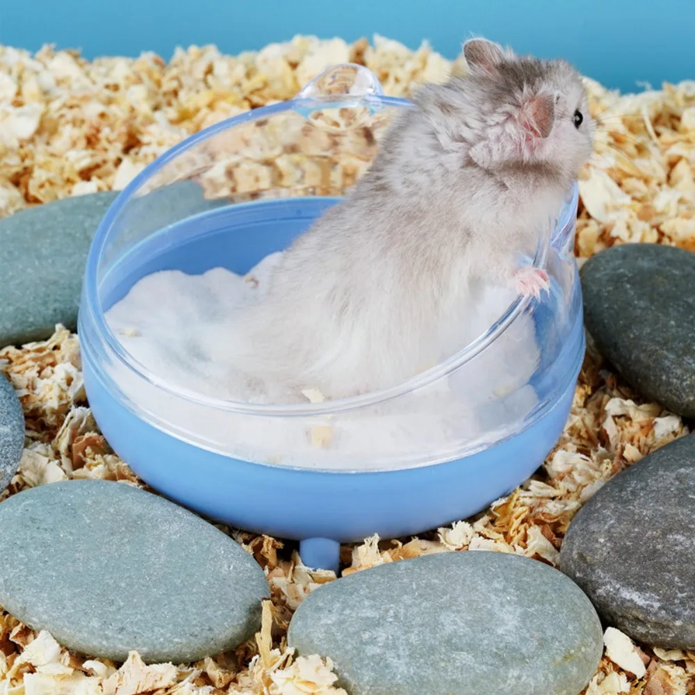 Caixa de Areia para Hamster Transparente com Tampa Removível - Imagem 4