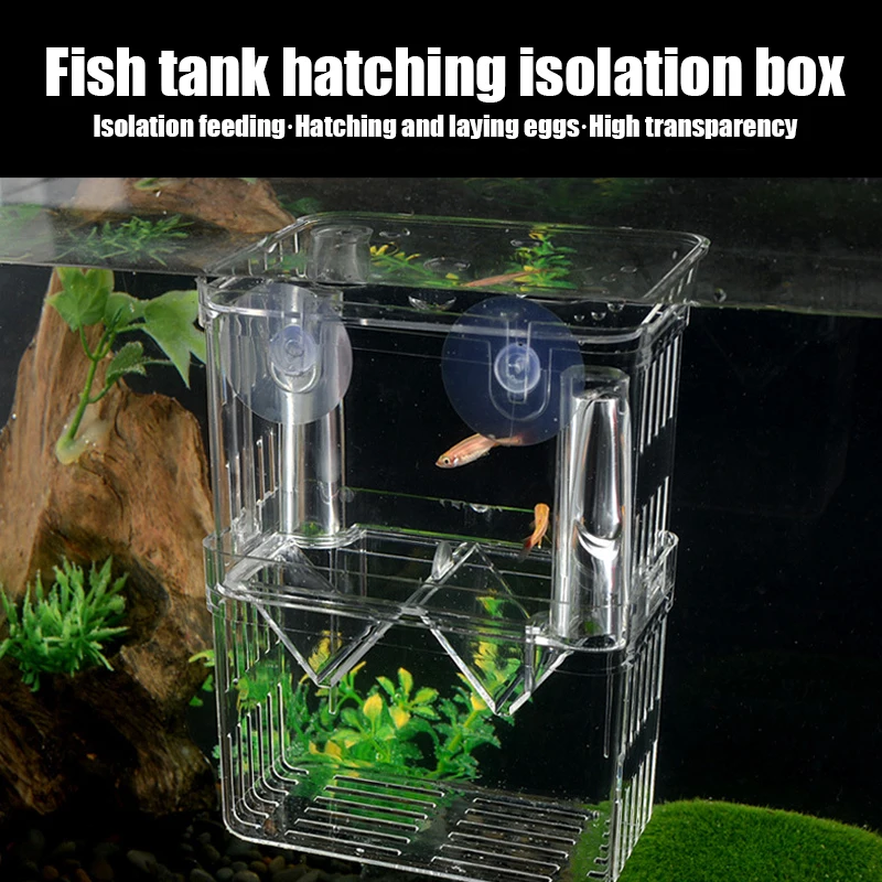 Caixa de Isolamento para Peixes de Acrílico com Ventosas - Imagem 6