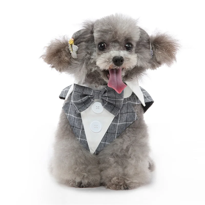 Fantasia para Cães Pequenos para Casamento, Roupa de Luxo - Imagem 6