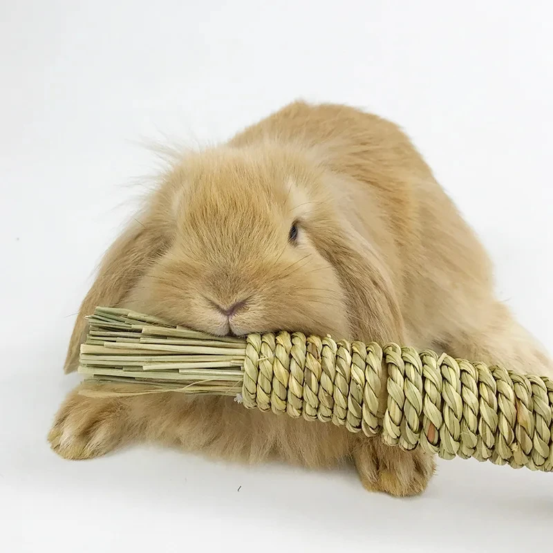 Brinquedos de Roer para Coelhos: Cenouras de Palha Trançada para Limpeza dos Dentes - Imagem 3