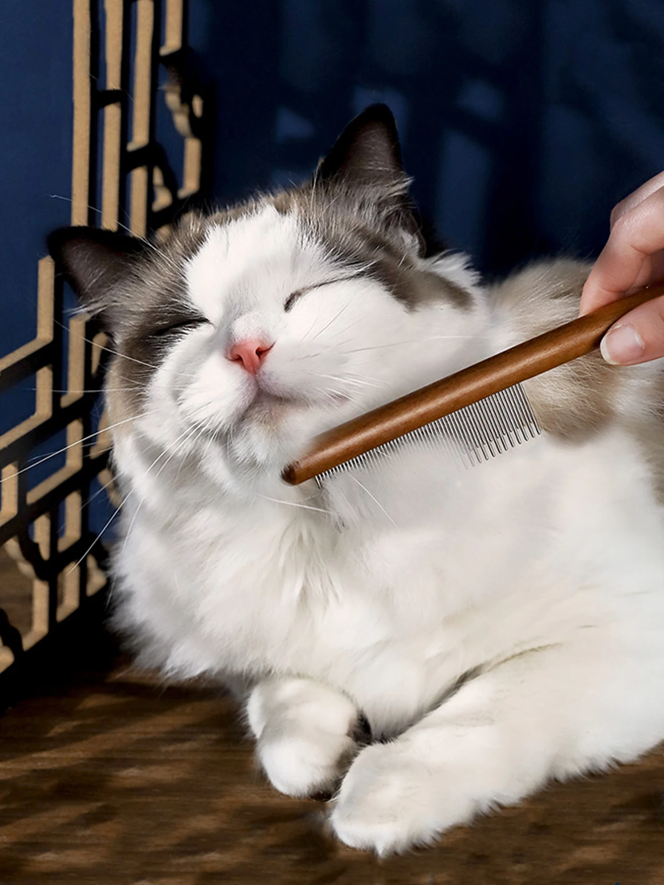 Escova para Gatos e Cães de Aço Inoxidável Antiderrapante - Imagem 3