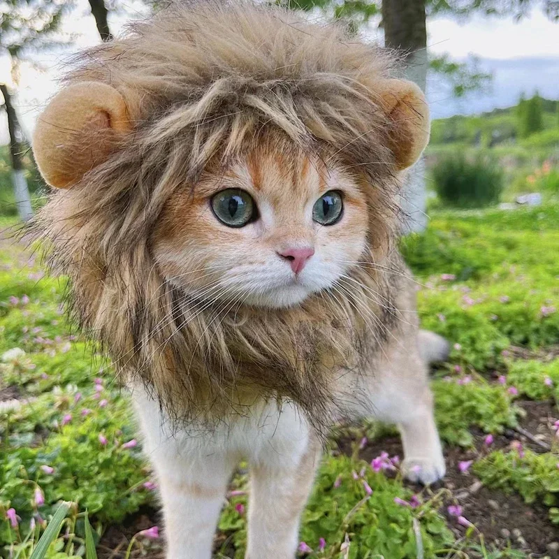 Peruca de Leão para Gatos e Cães Pequenos de Feltro com Orelhas - Imagem 3