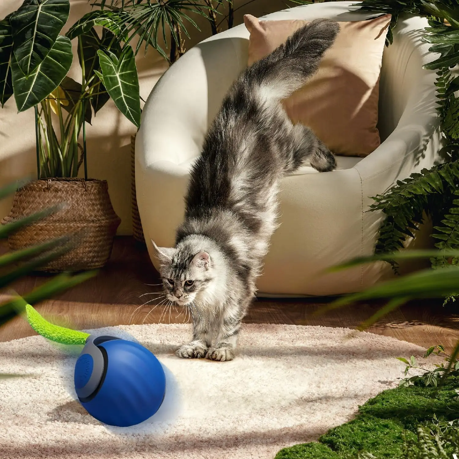 Brinquedo Interativo Speedy Tail 3.0 para Gatos com 50mm de Diâmetro - Image 2