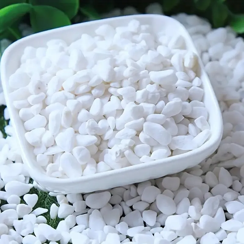 Pedras Decorativas para Aquário 500g Seixo Branco Polido Natural - Imagem 2