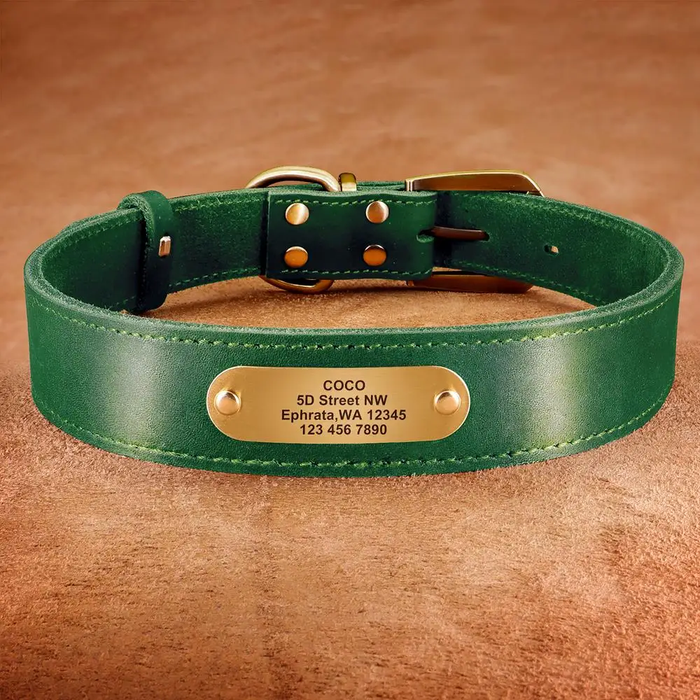 Coleira de Couro para Cães com Gravação Gratuita Personalizada - Image 3