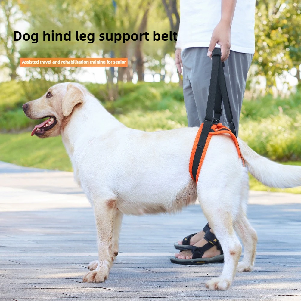 Arnês de Elevação para Cães com Suporte Traseiro Ajustável - Imagem 2