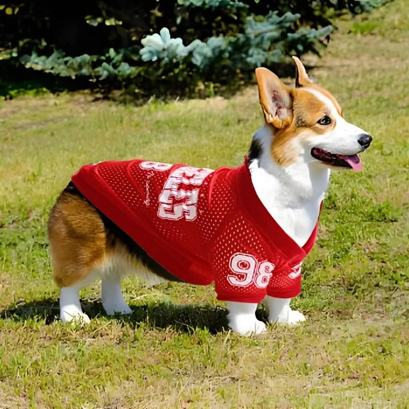 Camisa Esportiva para Cães de Malha Respirável para Verão - Imagem 2