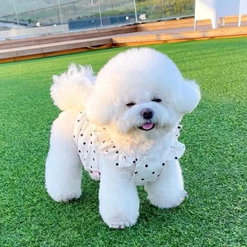 Vestido para Cães e Gatos de Bolinhas em Algodão e Poliéster - Image 4