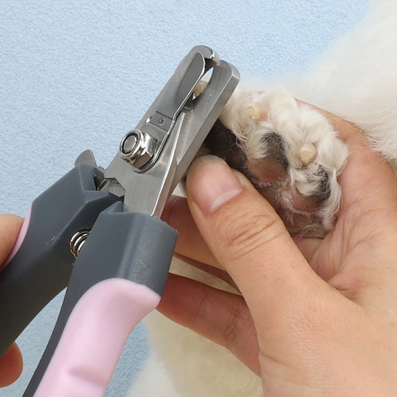 Cortador de Unhas Profissional para Cães e Gatos de Aço Inoxidável - Imagem 4