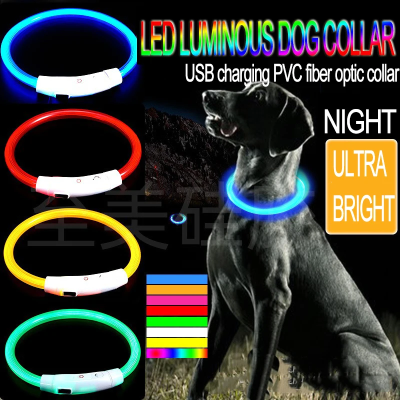 coleira luminosa para cães com led