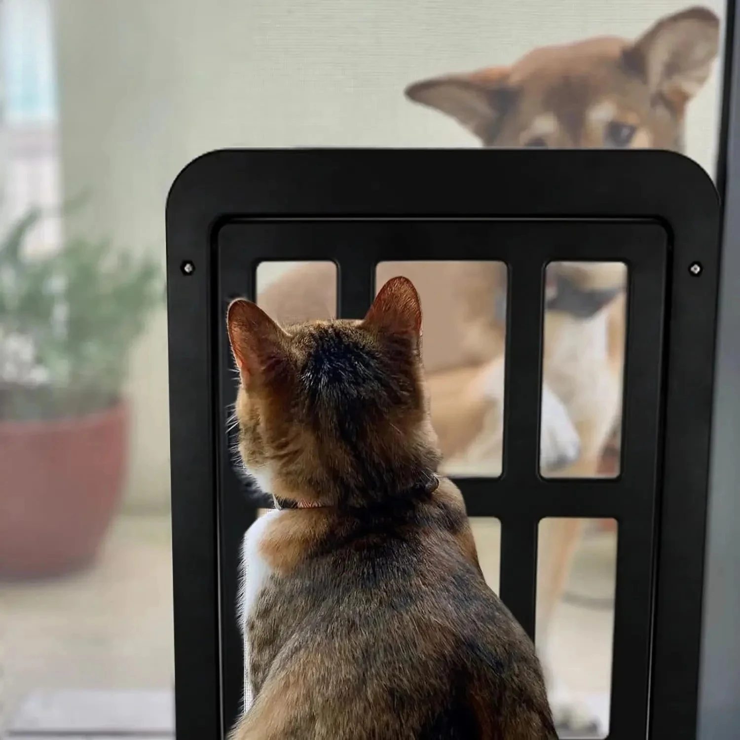 Porta para Cães e Gatos para Tela de Correr com Fechamento Magnético - Imagem 6