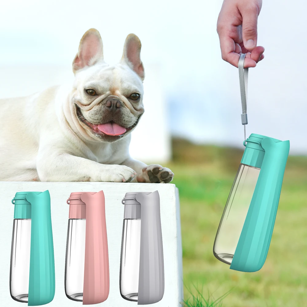 dispensador de água portátil dobrável para cães