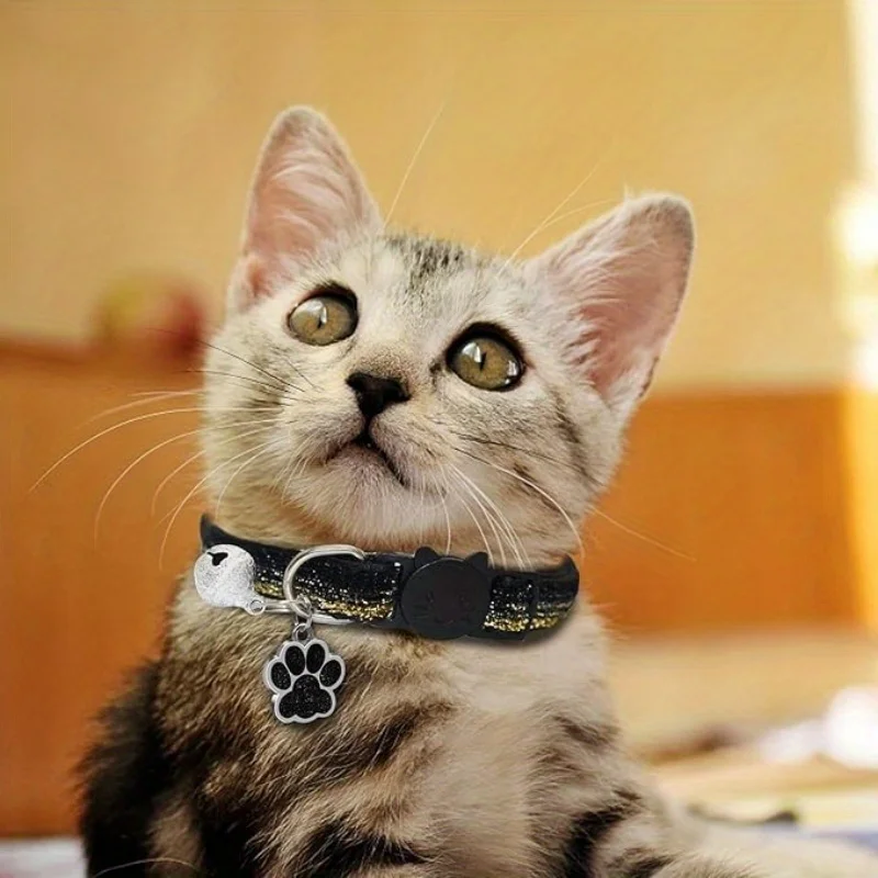 Coleira para Gato Personalizada Brilhante com Placa de Pata - Imagem 2