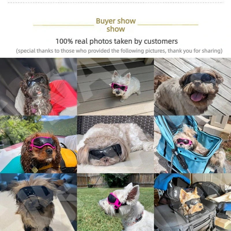 Óculos de Sol para Cães Pequenos com Proteção UV - Imagem 4