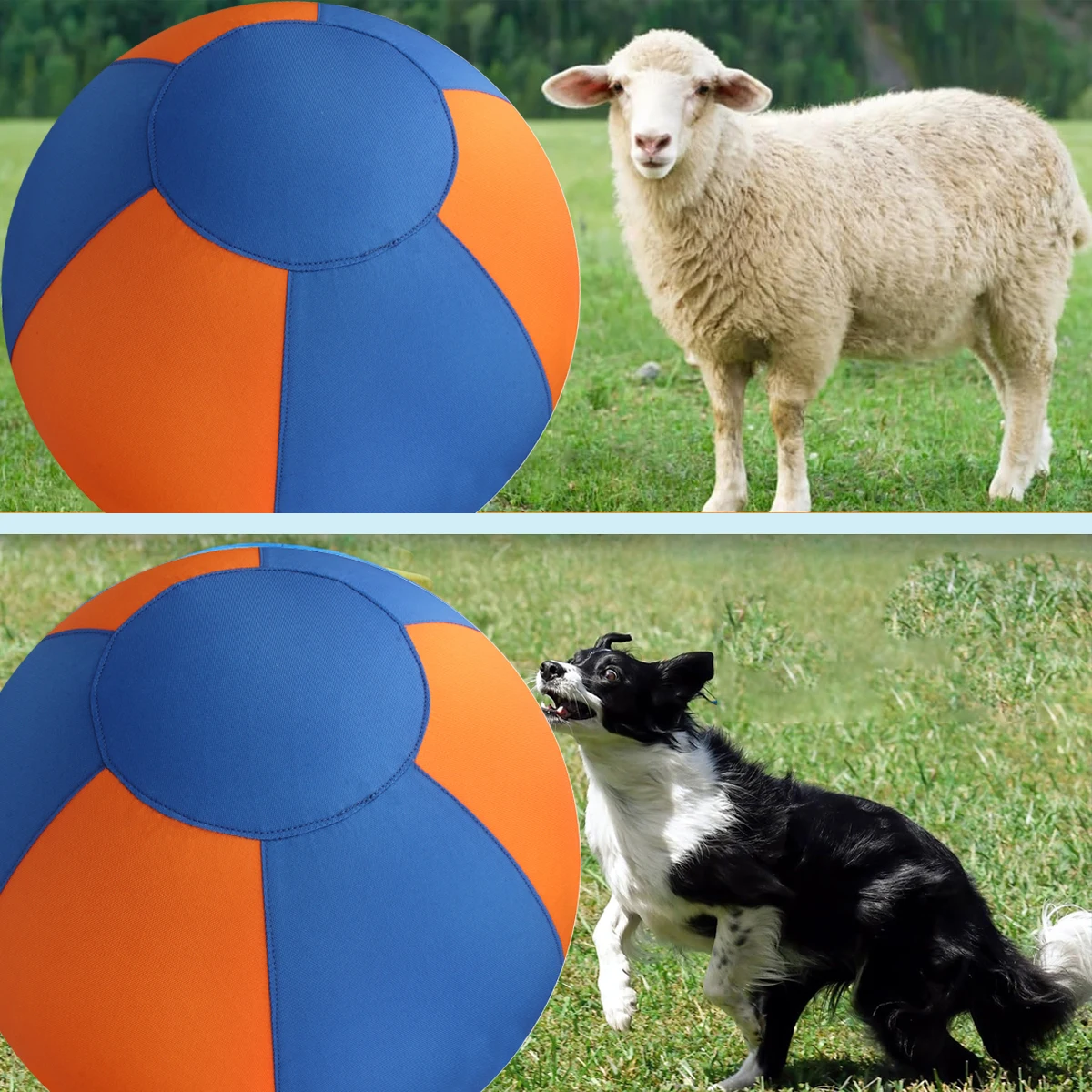 Bola Gigante para Cães com Cores Vibrantes para Treino ao Ar Livre - Imagem 6