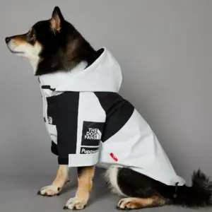 capa de chuva e corta-vento para cães