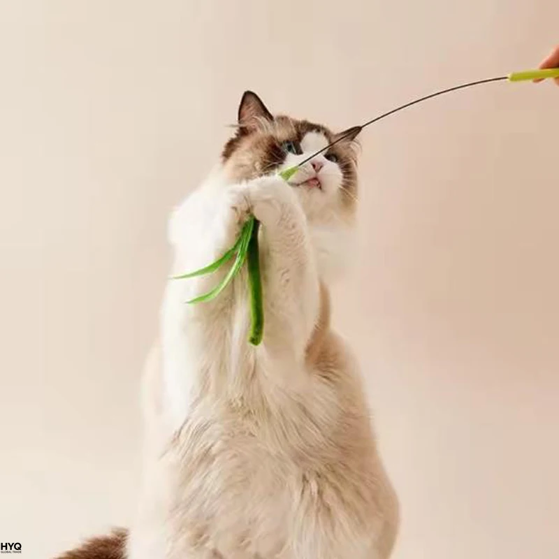 Vara Flexível para Gatos com Penas e Grama - Imagem 4