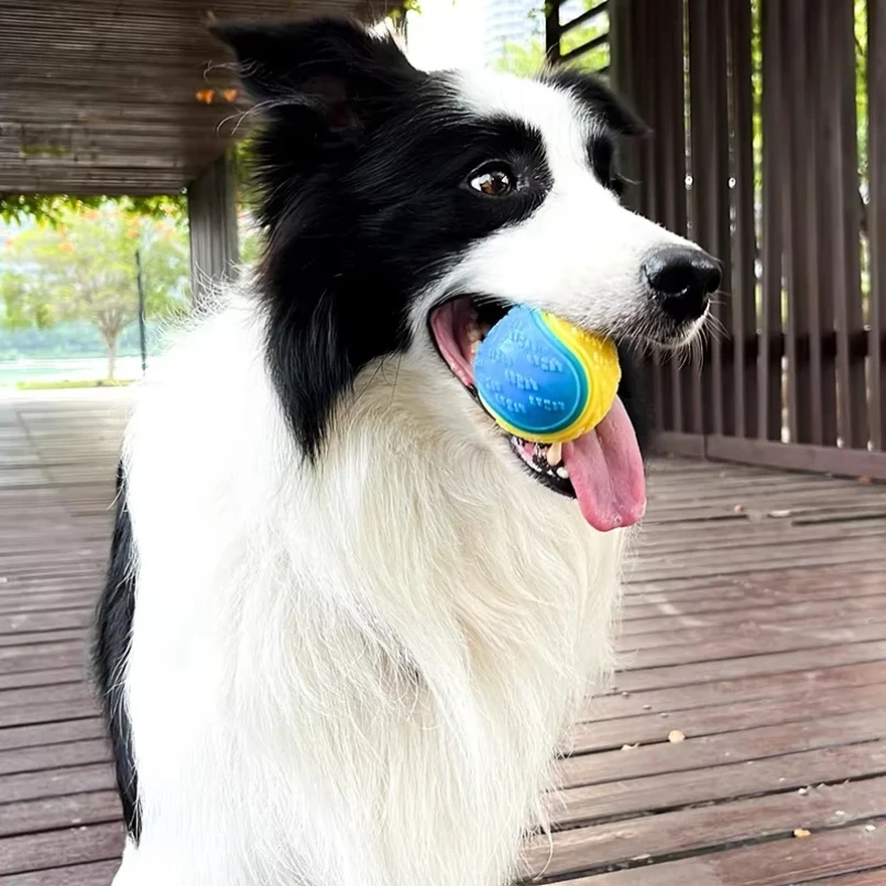 Brinquedo Bola para Cães de TPR 6,5 cm para Limpeza dos Dentes - Imagem 3