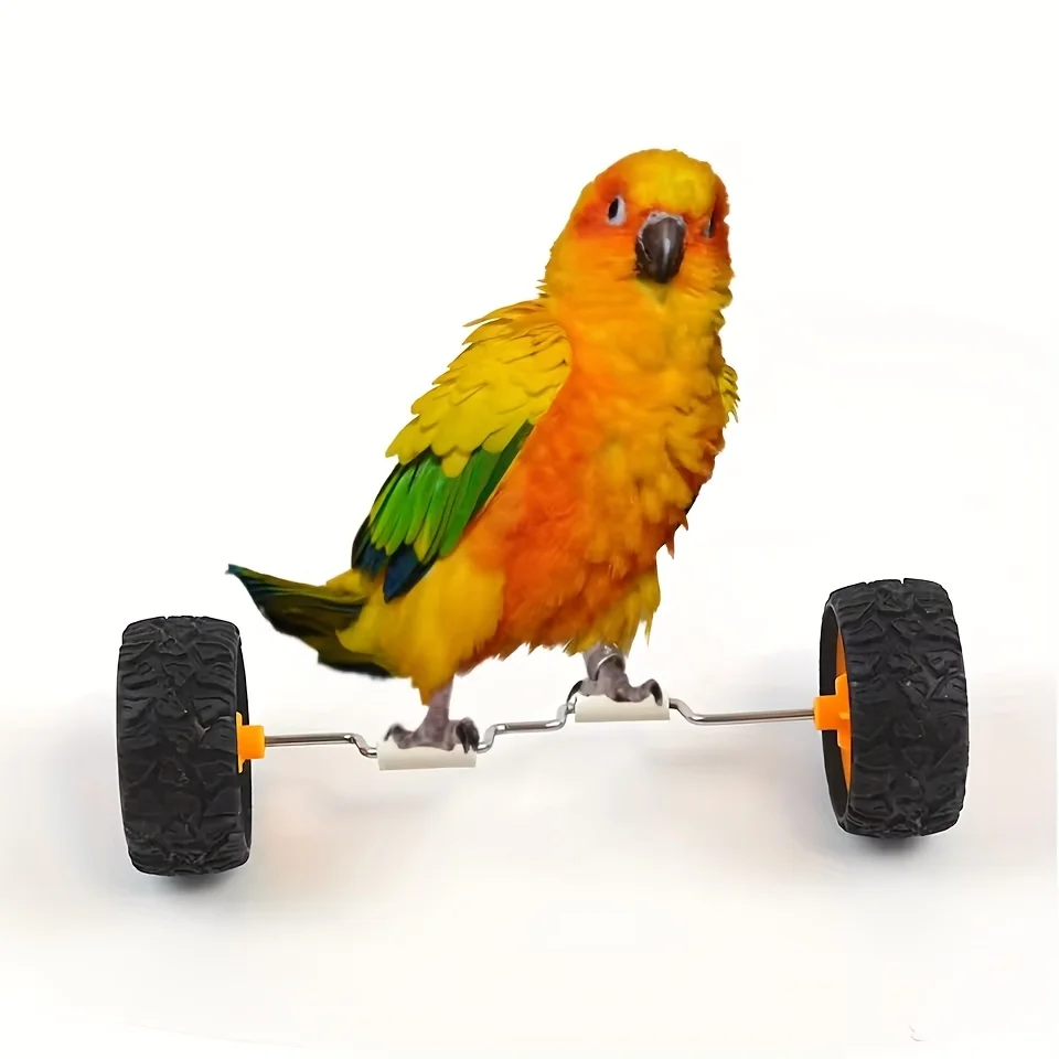 Brinquedo Bicicleta para Pássaros, Mini Rodas para Treinamento - Imagem 2