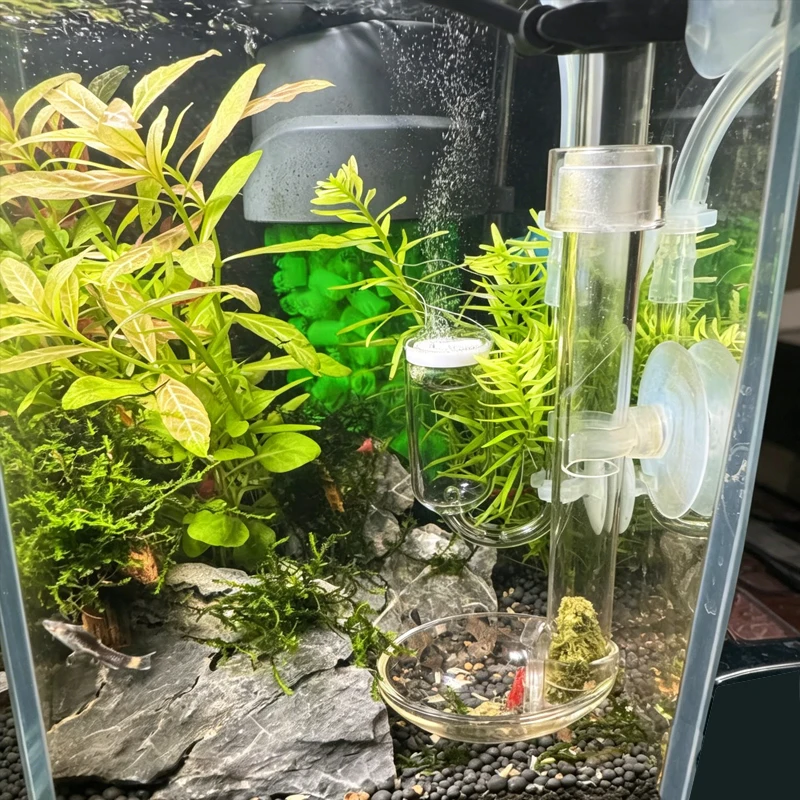 Alimentador de Peixes para Aquário Telescópico com Ventosas - Imagem 6